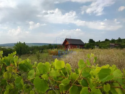 Intravilan - Tomesti - Teren si Cabana zona frumoasa - Tomesti