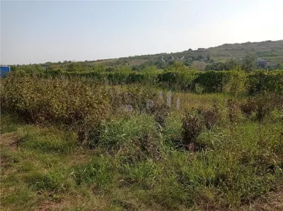 Intravilan - Tomesti - Teren si Cabana zona frumoasa - foto 7