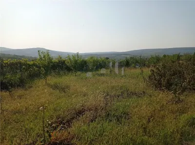 Intravilan - Tomesti - Teren si Cabana zona frumoasa - foto 8