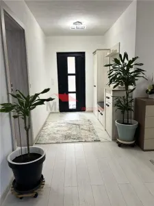 Casa la cheie, Dipsa, Jud.B-N - foto 13