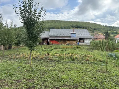 Casa la cheie, Dipsa, Jud.B-N - foto 6