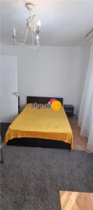 Ofert? nou?! Închiriere-apartament 3 camere, Podu Ro? Po?ta - foto 13