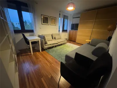 Apartament cu 2 camere de inchiriat Parcul Circului - foto 13