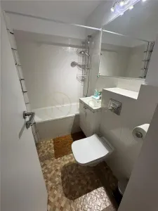 Apartament cu 2 camere de inchiriat Parcul Circului - foto 6
