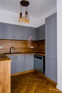 Penthouse de inchiriat Sanmartin - foto 8