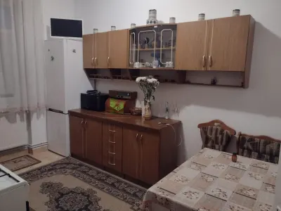Apartament 2 camere mobilat-utilat zona Mesota 2300 lei - foto 2