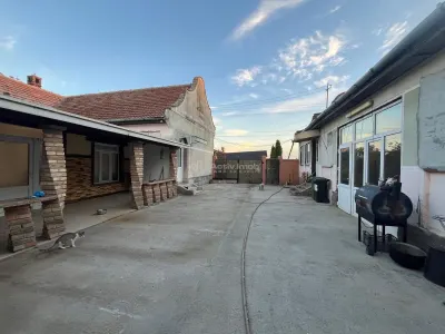 Ohaba-Forgaci, Casa Cu Doua Corpuri, 6 Cam. 268 Mp., Teren 2.999 Mp. Cu Pomicultura,  Zona Centrala - foto 19