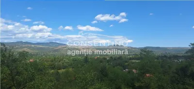 Se vinde teren intravilan 3167 mp , in sat Magura - Magura