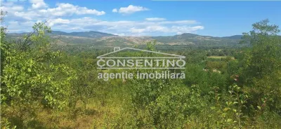 Se vinde teren intravilan 3167 mp , in sat Magura - foto 2