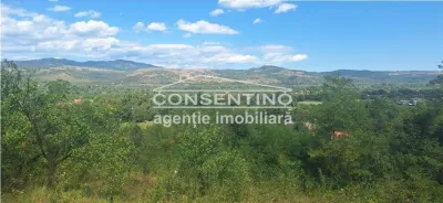 Se vinde teren intravilan 3167 mp , in sat Magura - foto 3