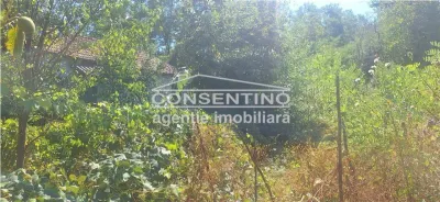 Se vinde teren intravilan 3167 mp , in sat Magura - foto 6
