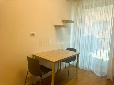Apartament 2 camere de inchiriat Herastrau Soseaua Nordului - foto 21