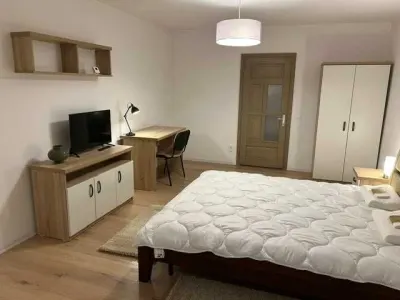 Apartament 2 camere pentru Studenti, Medici Rezidenti, UMF, Univ. D.Cantemir - foto 3