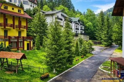 Tur LIVE! Refugiu in ambientul special al statiunii Poiana Brasov - Poiana Brasov