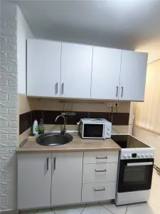 Apartament 2 camere Piata Victoriei langa Mures Mall si UMFST, Centru - foto 12