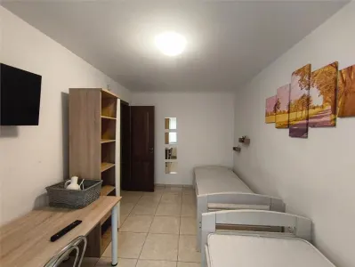 Apartament 2 camere Piata Victoriei langa Mures Mall si UMFST, Centru - foto 7