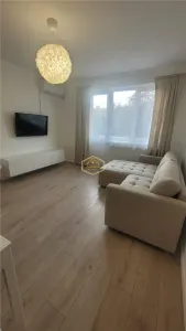 Apartament  2 camere de închiriat | Etaj 1 | Central - foto 14