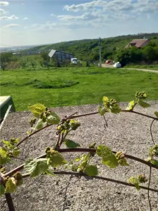 RECO Teren intravilan cu utilitati si panorama - Piersicilor -Paleu - foto 4