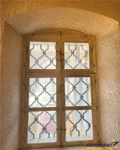 Resedinta istorica,cu teren privat,pivnita,pod,foisor,detalii originale,potential: rezidential,cultural,boutique. - foto 21