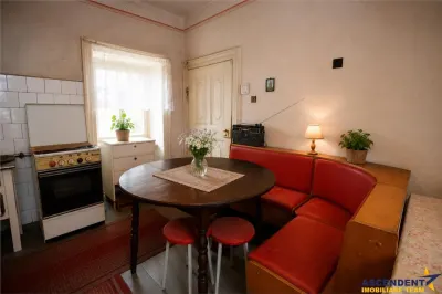 Resedinta istorica,cu teren privat,pivnita,pod,foisor,detalii originale,potential: rezidential,cultural,boutique. - foto 6
