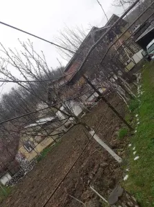 Casa P+1, 5 camere, teren 1200 mp, sat Barbuncesti, Grajdana - foto 2