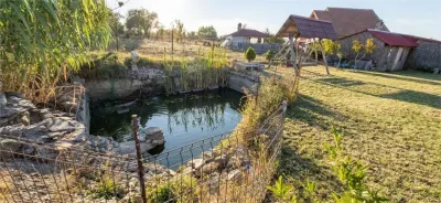 RECO Casa Saldabagiu de Munte - foto 9