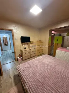 2 camere decomandat - Trestiana - Tineretului - foto 5