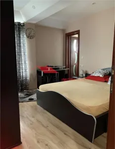 Apartament 3 camere, zona Drumul Dumitrei Vechi - foto 10