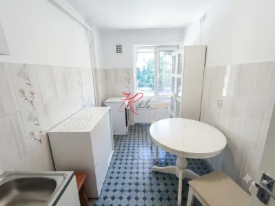 Inchiriere apartament 2 camere  Stefan cel mare - circului - foto 5