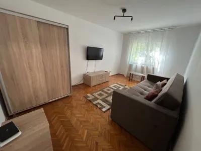 Apartament doua camere, Podul de Fier, Iasi - chirie - foto 3