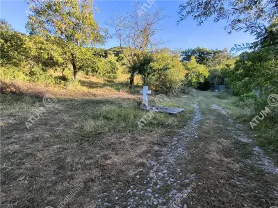 Teren extravilan 1200 mp in Sibiel langa Sibiu - ideal investitie - foto 3