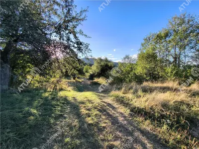 Teren extravilan 1200 mp in Sibiel langa Sibiu - ideal investitie - foto 5