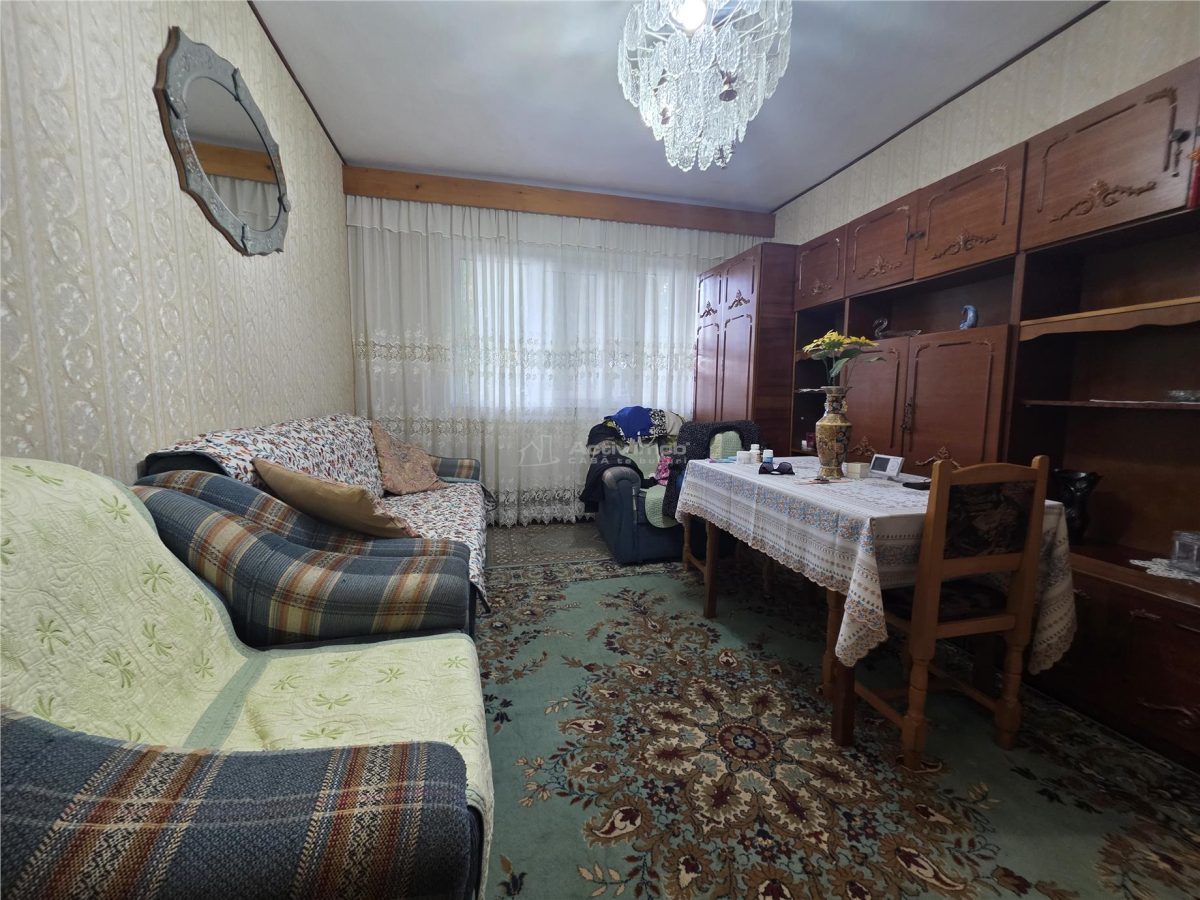 2 camere, PARTER, 45 mp, Nicolae Balcescu - Buzau