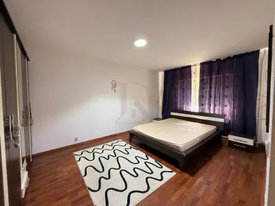 Apartament 2 camere de vanzare in Podul de Fier - foto 8