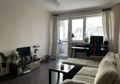 Vanzare Apartament 2 Camere Semidecomandat Berceni-Dragos Mladinovici - foto 4