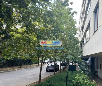 Inchiriere apartament 5 camere Nordului, str Gafencu - foto 15