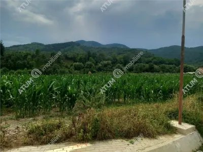 De vanzare teren intravilan 733 mp in Boita Sibiu - foto 3