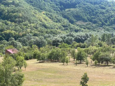 Teren si Casa Mihaileni - foto 11