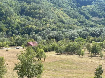 Teren si Casa Mihaileni - foto 12