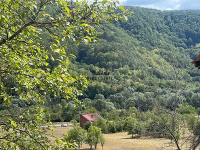 Teren si Casa Mihaileni - foto 13