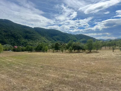 Teren si Casa Mihaileni - foto 14