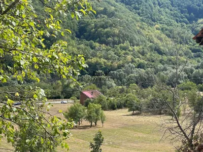 Teren si Casa Mihaileni - foto 15