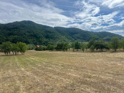 Teren si Casa Mihaileni - foto 16