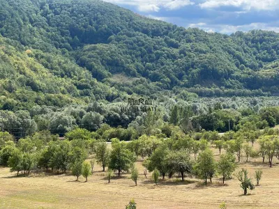 Teren si Casa Mihaileni - foto 18