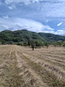 Teren si Casa Mihaileni - foto 19