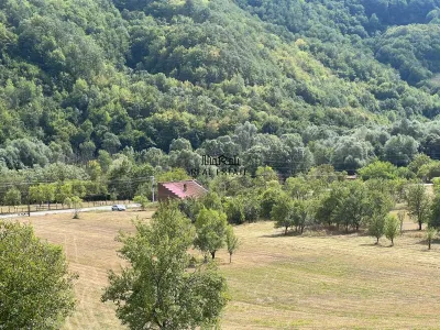 Teren si Casa Mihaileni - foto 5