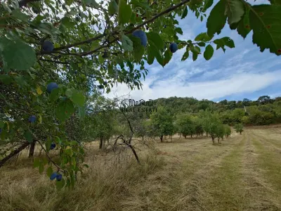 Teren si Casa Mihaileni - foto 6