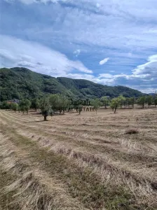 Teren si Casa Mihaileni - foto 9