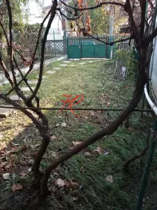 Vanzare casa modesta Andronache - foto 6