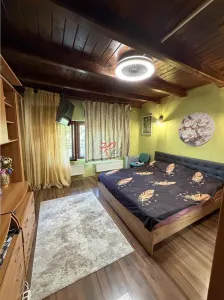 Vanzare Vila Bucurestii Noi Parc Bazilescu - foto 10